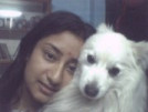 My beautiful dog, Saanu