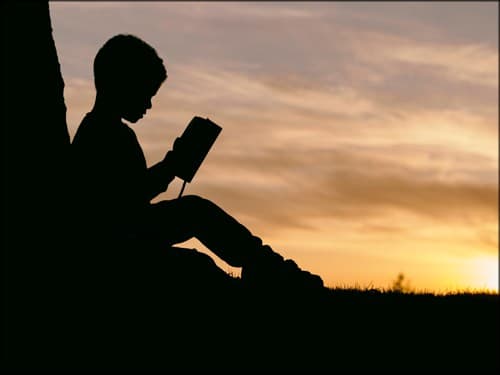 boy and a book