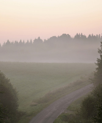 beautiful scene of light coming across a path